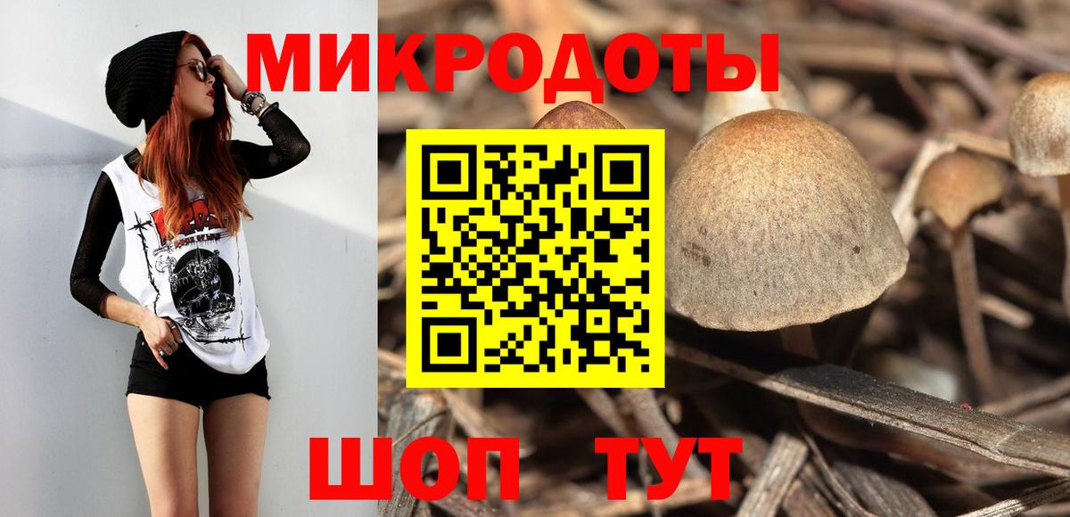 Галлюциногенные грибы Cubensis Ликино-Дулёво
